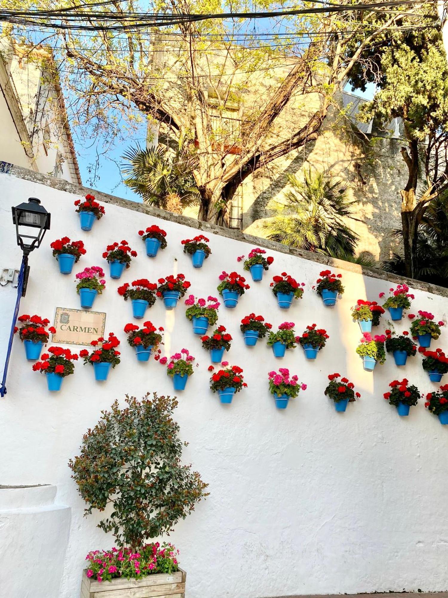 Studio Oasis In 2º Line Beach In The Centre Of Marbella - Eaw Homes Extérieur photo